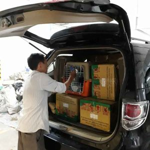 don nha tron goi tphcm