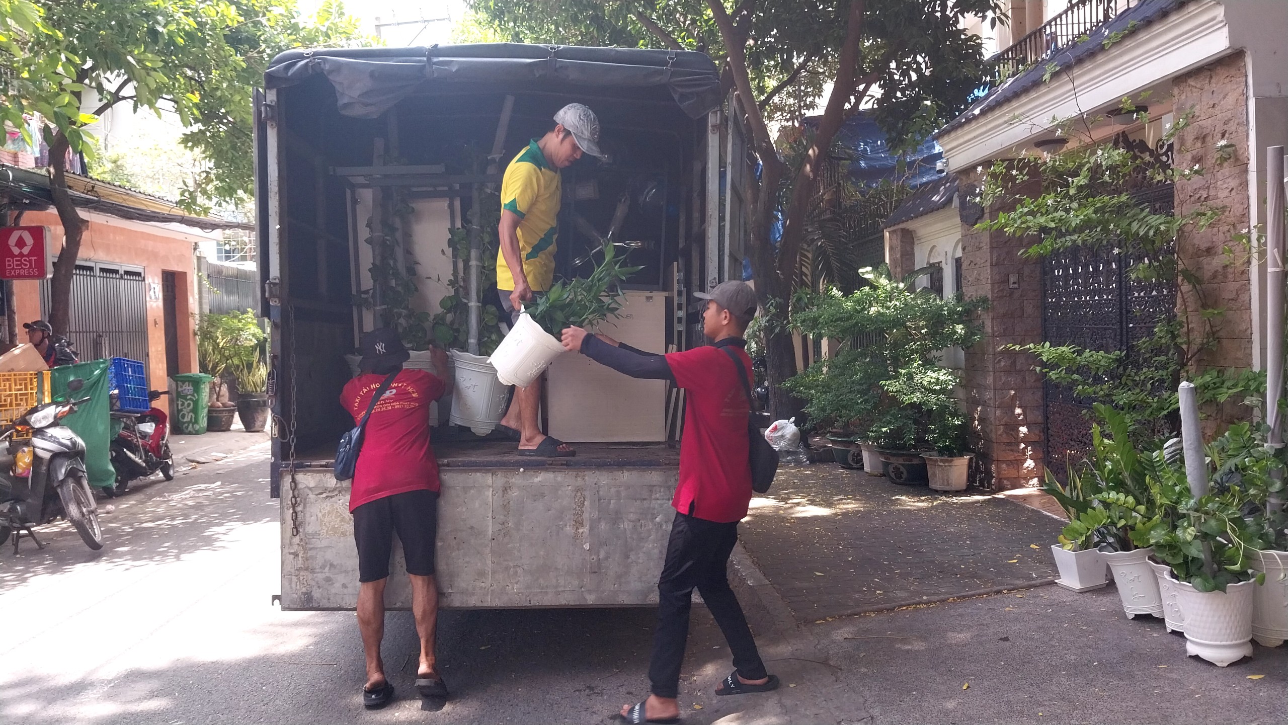 cách vận chuyển cây cảnh khi chuyển nhà